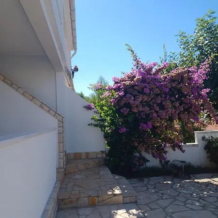 Apartman Narcisa *