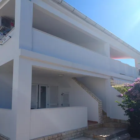 Apartman Narcisa شقة بريفلاكا